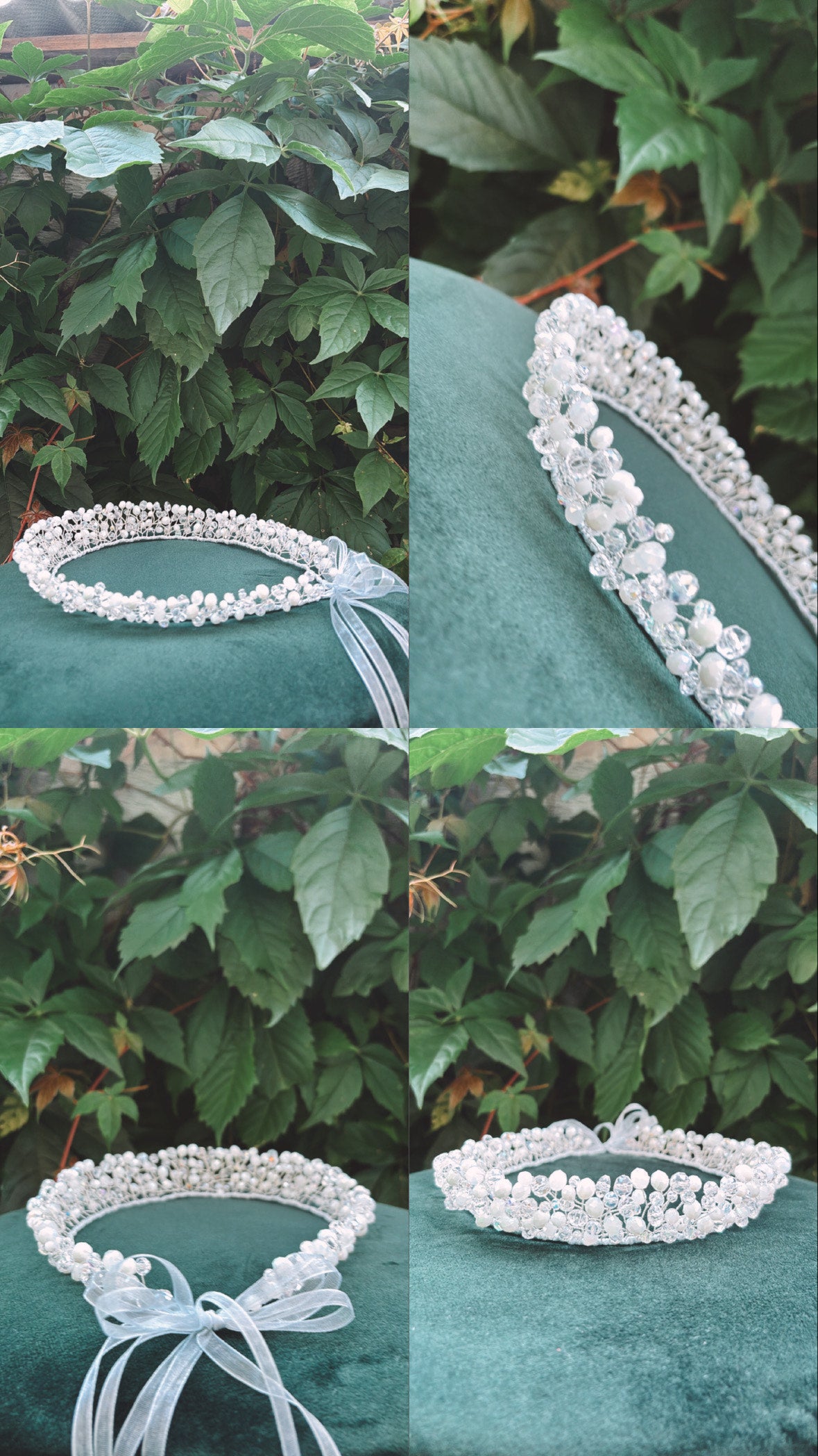 Kronis ''Baltā elegance''