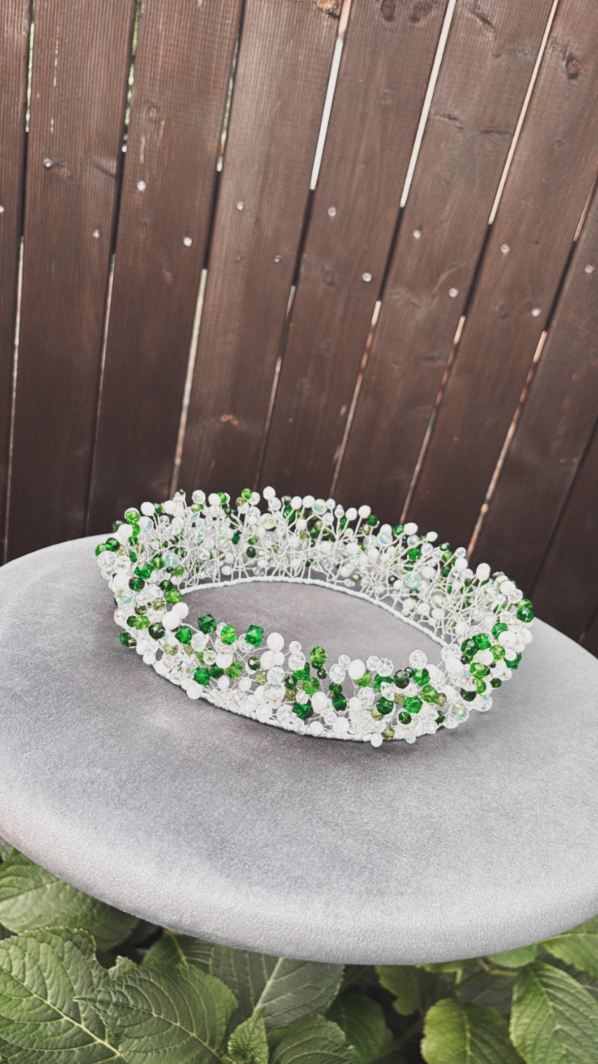 Kronis ''Dāliju līgaviņa''