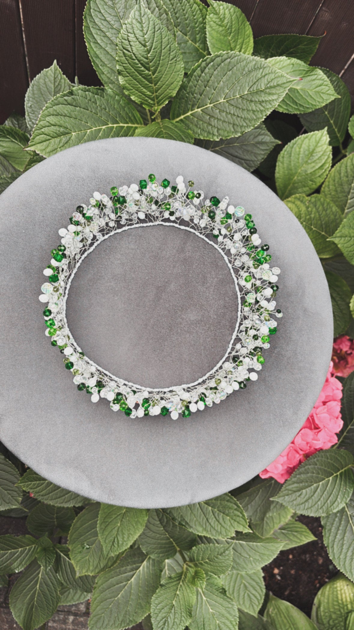 Kronis ''Dāliju līgaviņa''